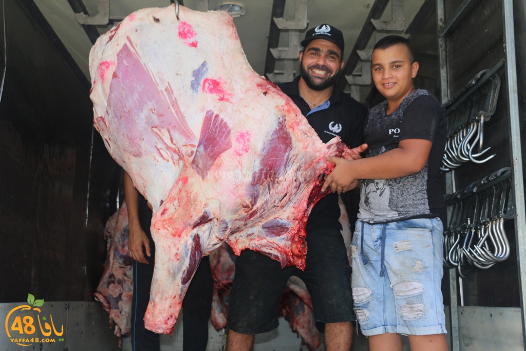 ada7y forthei (21).JPG